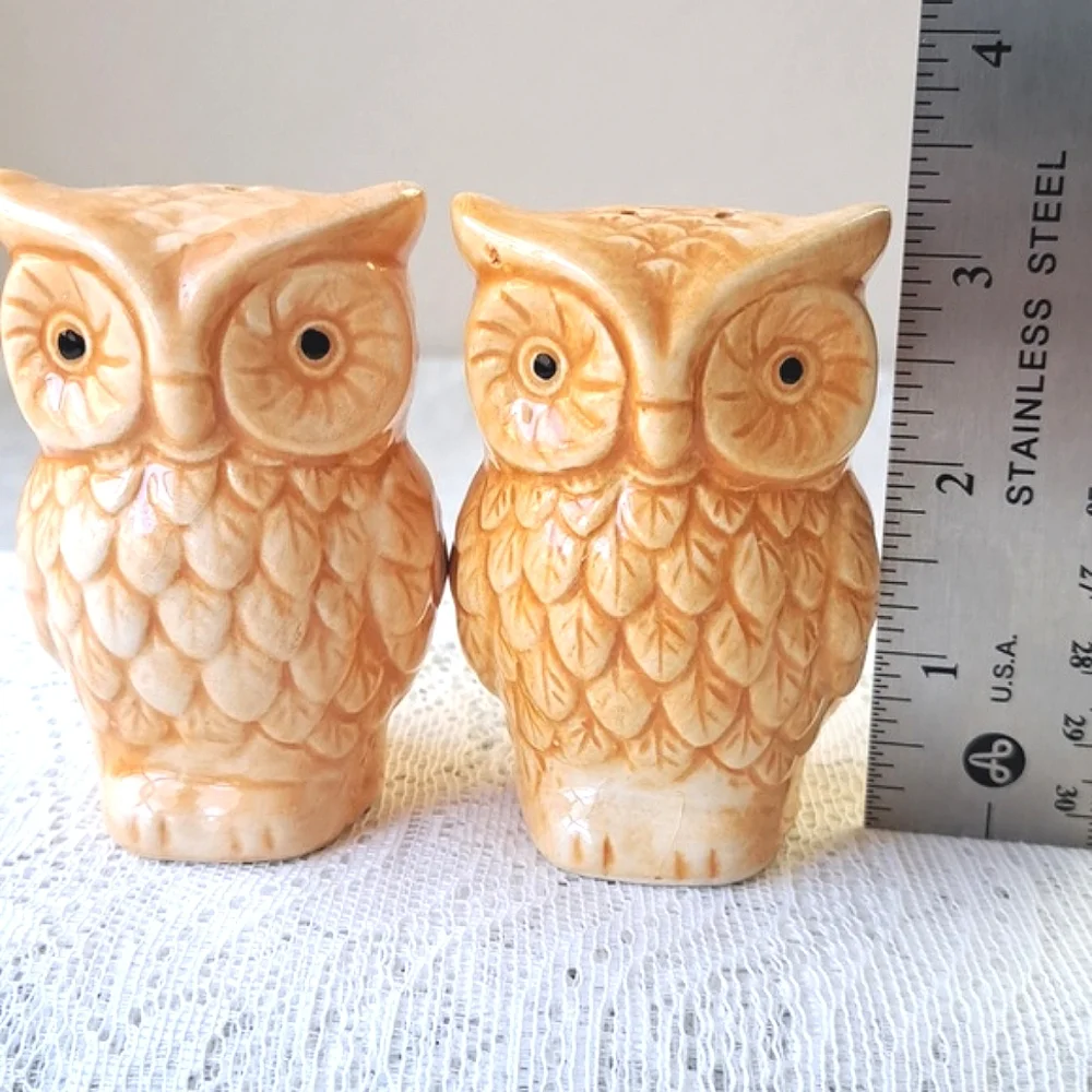 Vintage Pair MCM Handpainted Classic Ceramic Owl Salt & Pepper Shakers Pottery